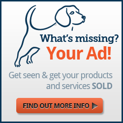 A-Ads - Come advertise with us!